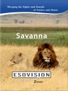 Savanna
